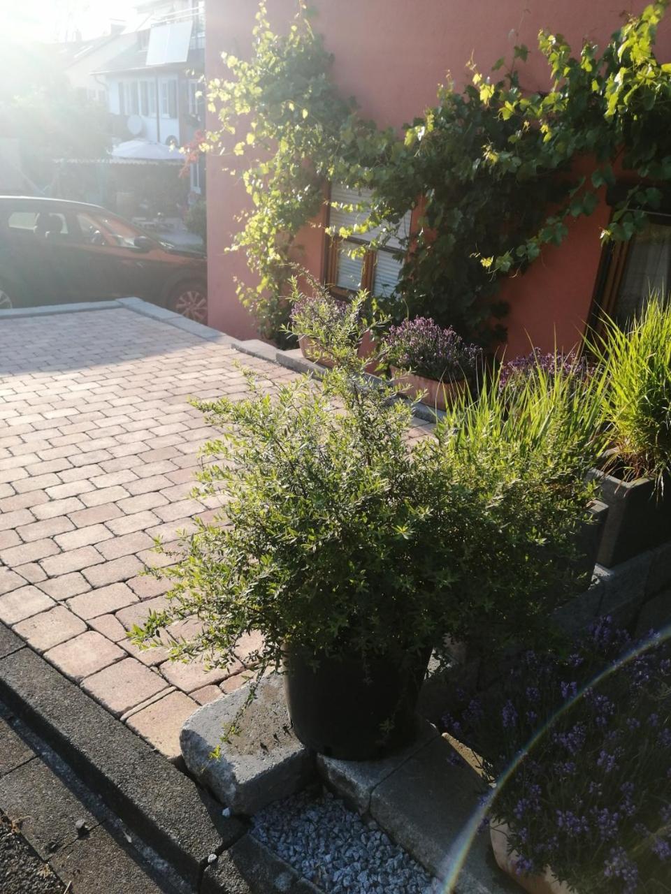 Haus Meersburg See Esterno foto